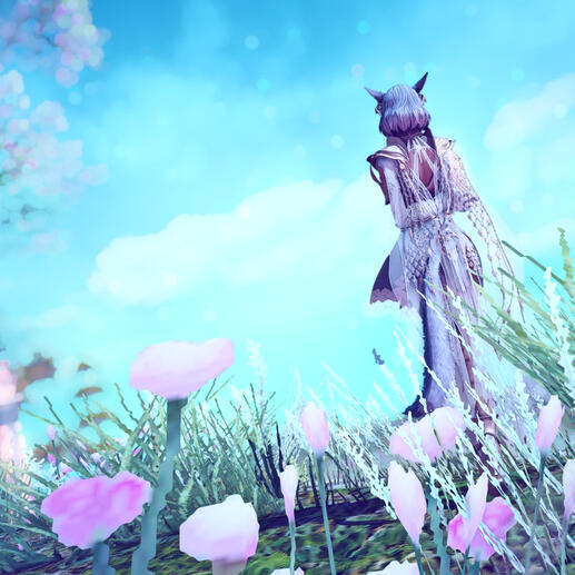 Dream
